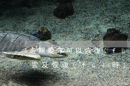 逾期幾年可以恢復(fù)？影響及恢復(fù)時(shí)間解析